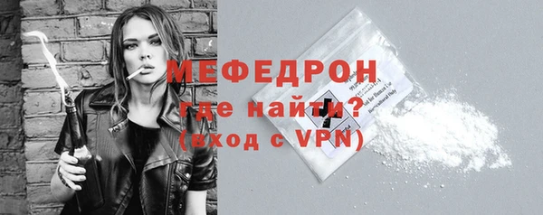 стаф Богданович