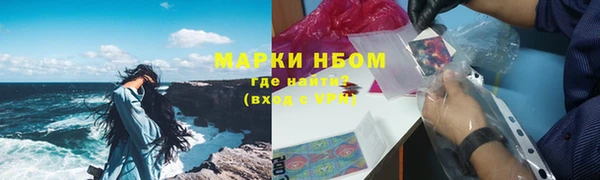 стаф Богданович