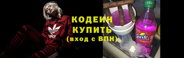 стаф Богданович
