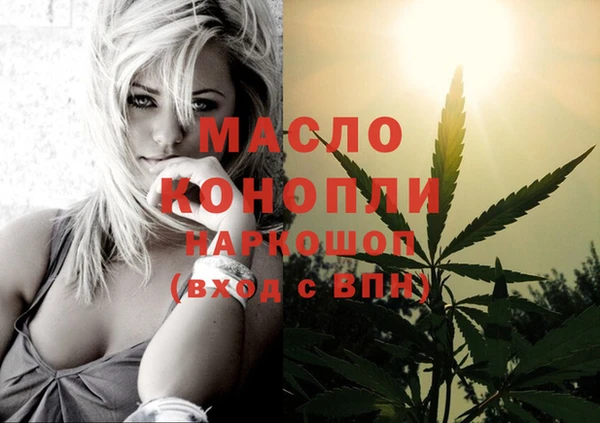 стаф Богданович
