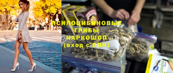 стаф Богданович