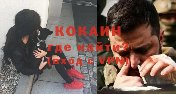 дживик Бородино