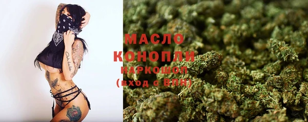 дживик Бородино